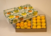 NAVEL/GRAPEFRUIT MIX