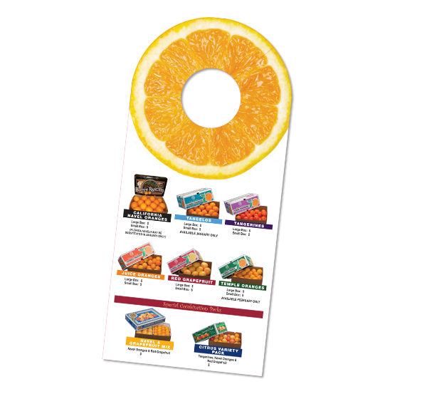 Spring Door Hanger